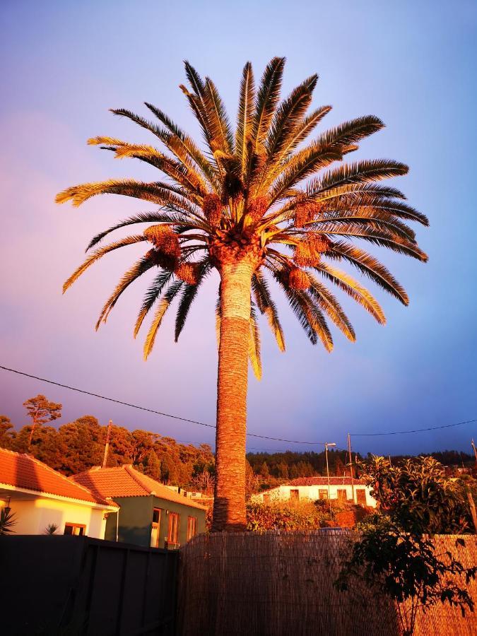 Vila Pino Redondo Puntagorda Exteriér fotografie