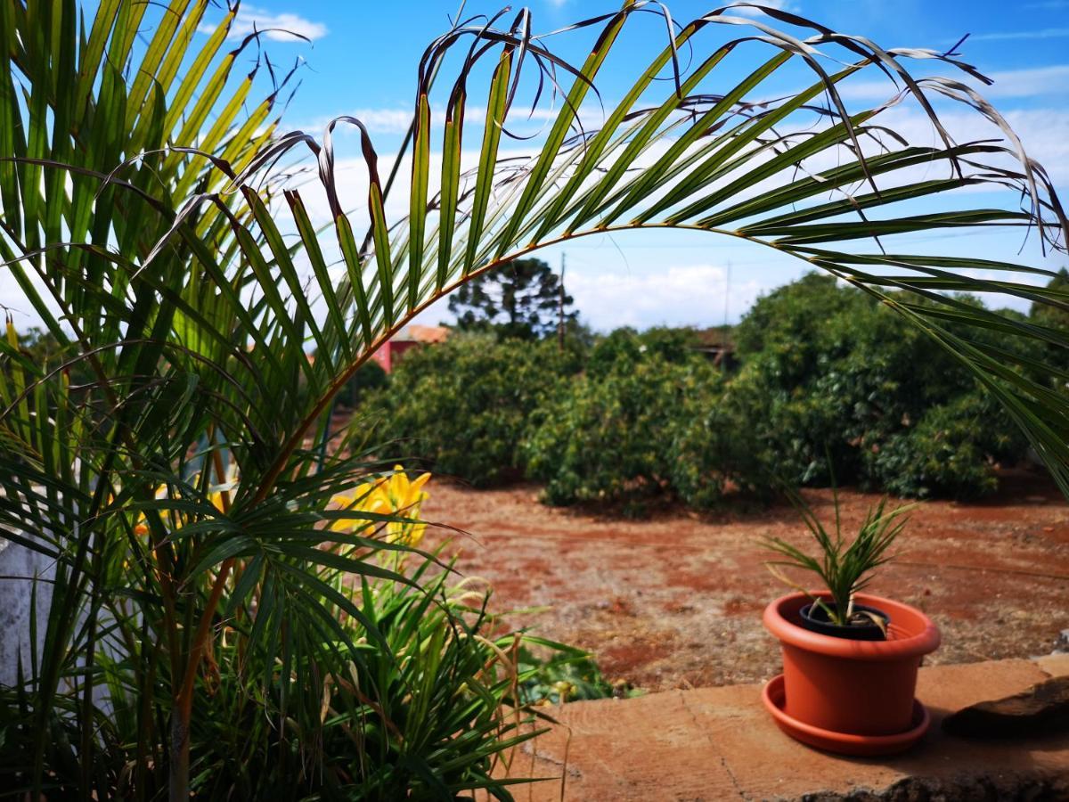 Vila Pino Redondo Puntagorda Exteriér fotografie