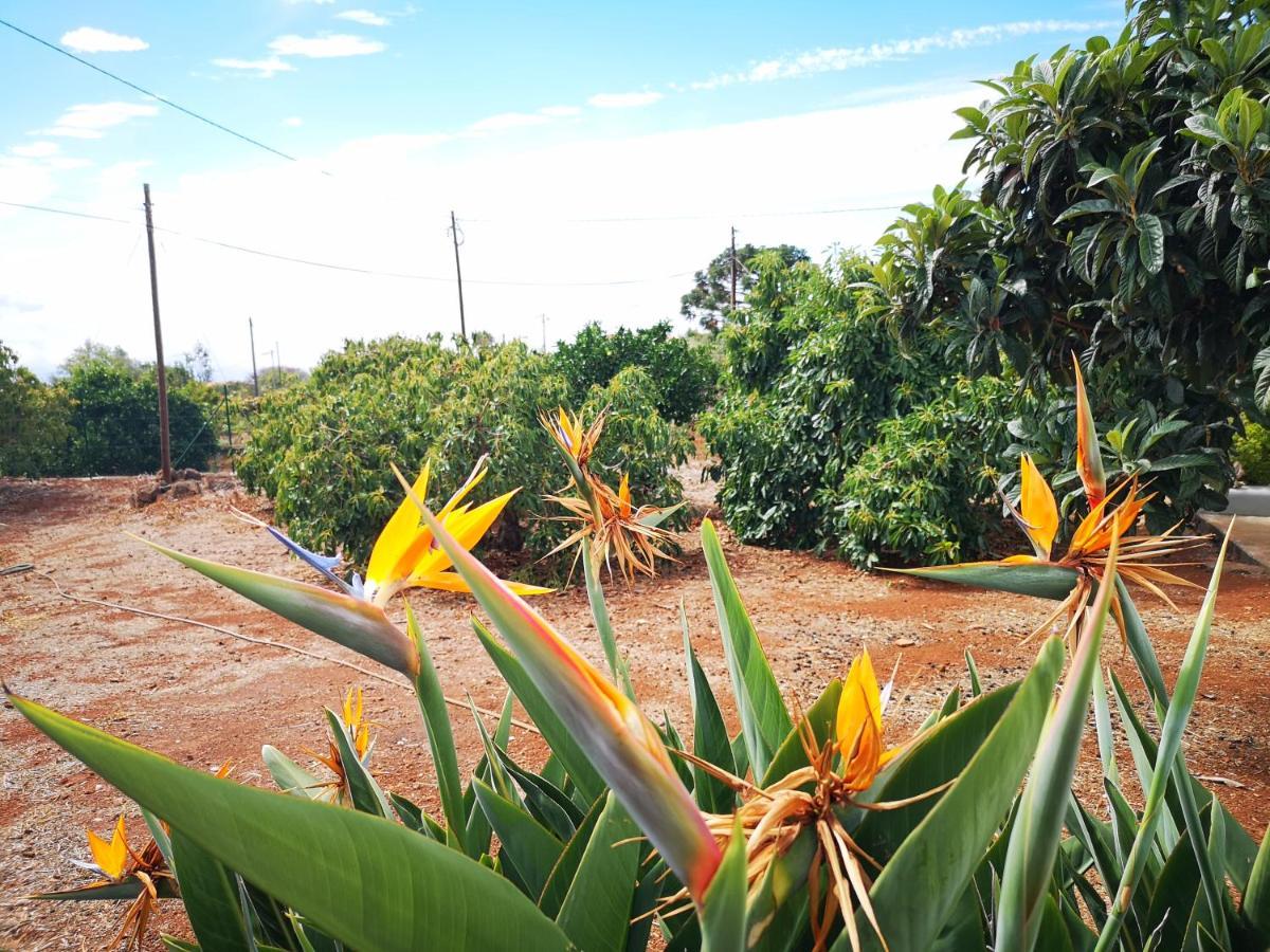 Vila Pino Redondo Puntagorda Exteriér fotografie